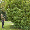 Nożyce Stihl HLA 135 2