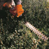 Nożyce Stihl HS 45 2 Nożyce Stihl HS 45 2