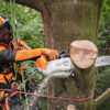 Pilarka STIHL MSA 220 TC-O 4