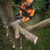 Pilarka STIHL MSA 220 TC-O 5