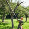 Podkrzesywarka akumulatorowa STIHL HTA 135 4