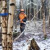 Podkrzesywarka akumulatorowa STIHL HTA 150 3