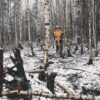 Podkrzesywarka akumulatorowa STIHL HTA 150 4