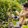 Sekator akumulatorowy ASA 20 4