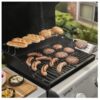 Grill gazowy Spirit® E-310 6 Grill gazowy Spirit® E-310 6